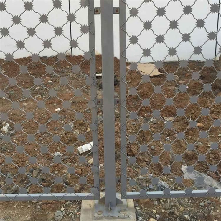 梅花刺隔離網案例展示